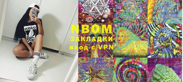шишки Абаза