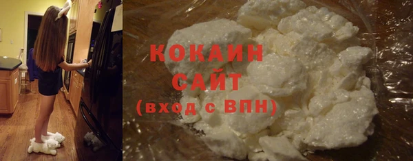 шишки Абаза