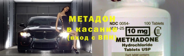 шишки Абаза