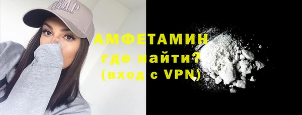 шишки Абаза