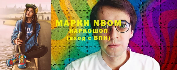 шишки Абаза