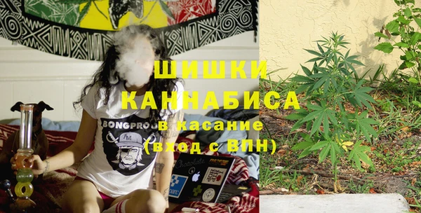 шишки Абаза