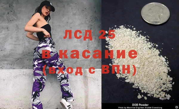 шишки Абаза