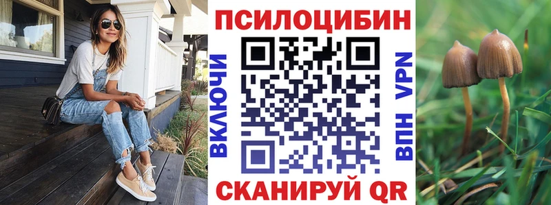 Псилоцибиновые грибы прущие грибы  Болотное 